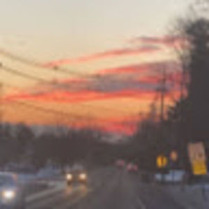 Meet your Posher, Frannie